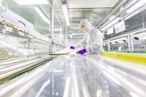 这座中国小城，如何用技术连接全球30万海外合伙人